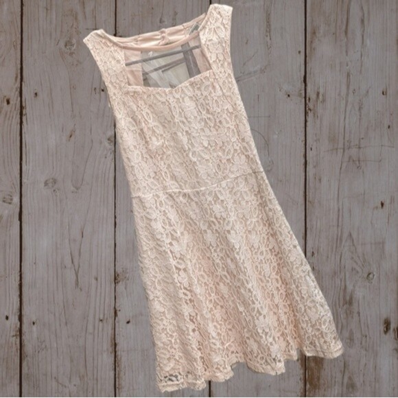 American Rag Small Soft Pink Lace Mesh Mini Skater Dress - Picture 1 of 4